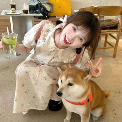 重生之慕甄